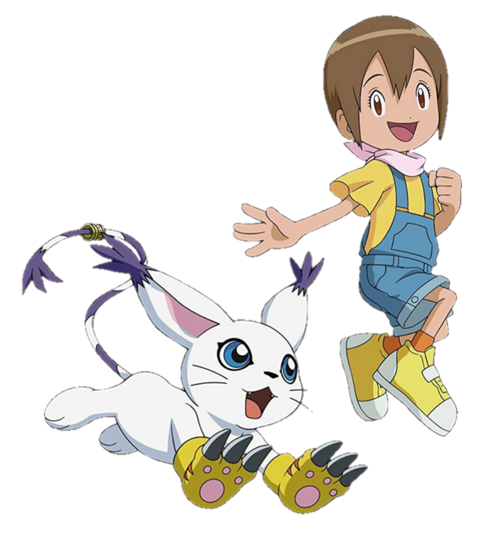 Yagami Hikari (Adventure:) - Wikimon - The #1 Digimon wiki