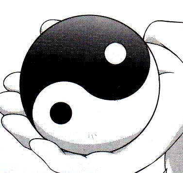 【送料無料キャンペーン】 VS | Orb Yin-Yang Battles Fandom | Wiki 工芸品