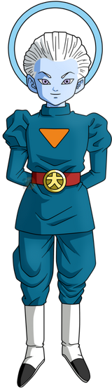 Image Trissnew Png Great Multiverse Wiki Fandom Powered - Dragon Ball Super  Grand Priest Png, Transparent Png - 576x1077(#6857394) - PngFind