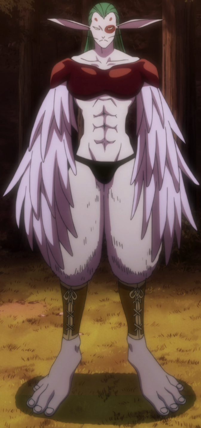 Hunter X Hunter Паук 4 Купить