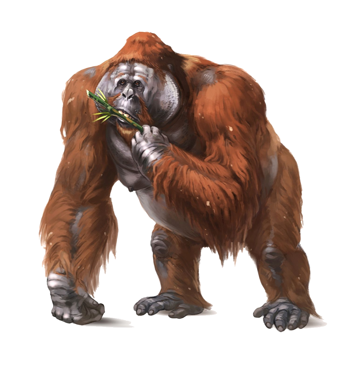 Gigantopithecus B. (Mod) : r/pathoftitans