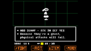 Mad Dummy