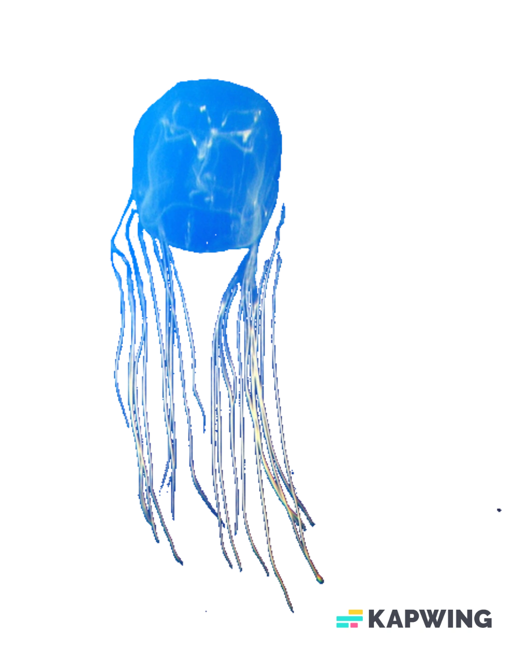 User blogH3110l12345I20/Box Jelly Draft VS Battles Wiki Fandom