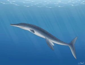 Thalattosuchus VS Battles Wiki Fandom