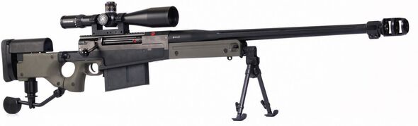 Accuracy International Arctic Warfare 50 Anti-Material and Sniper