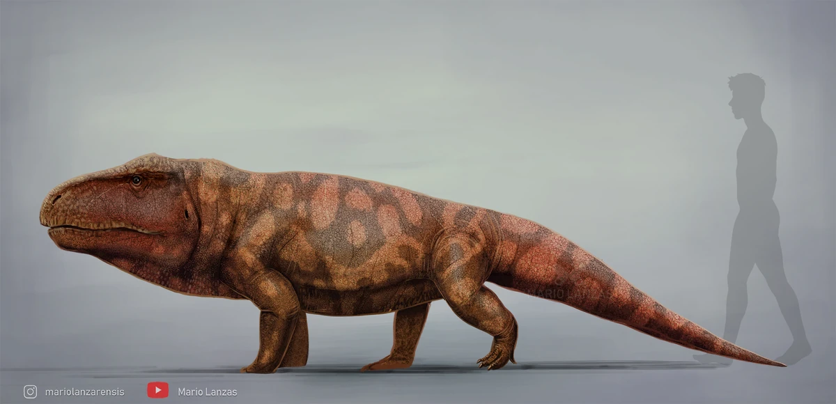 Erythrosuchus VS Battles Wiki Fandom