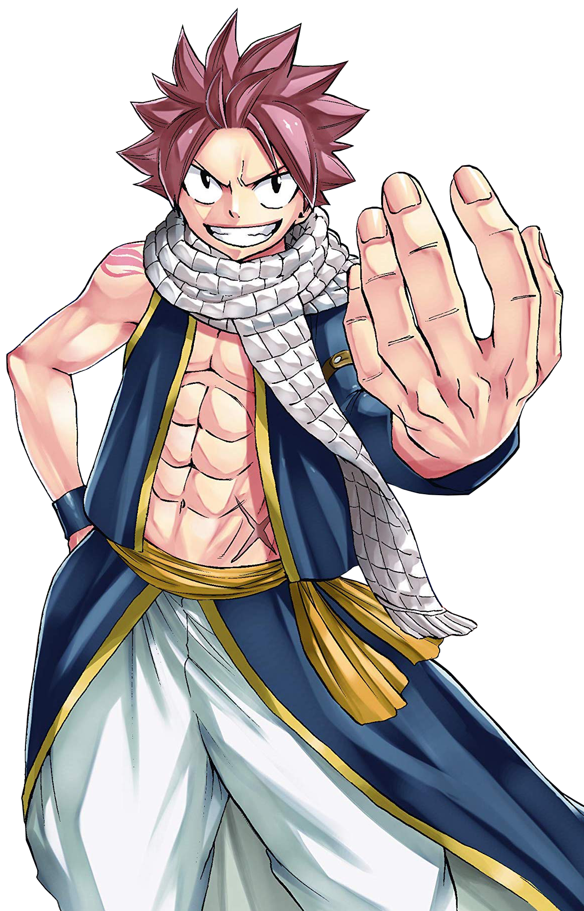 Natsu Dragneel 100 Years Quest Vs Battles Wiki Fandom