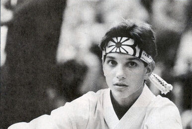 The Karate Kid, VS Battles Wiki