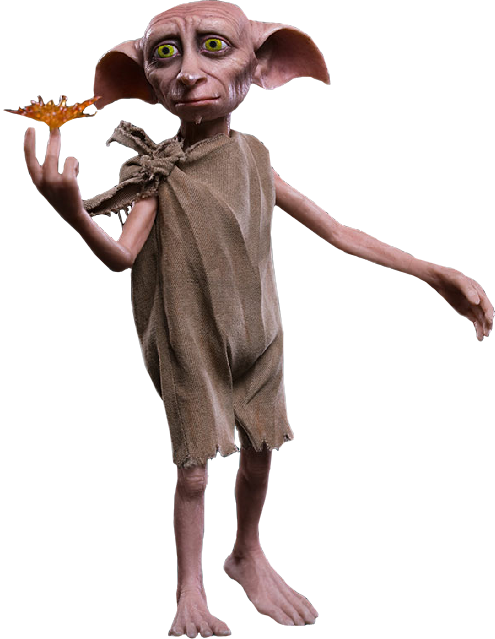 Dobby's clothes, Harry Potter Wiki