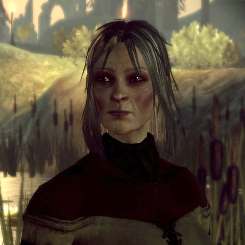 Flemeth, Dragon Age Wiki