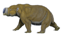 Diprotodon