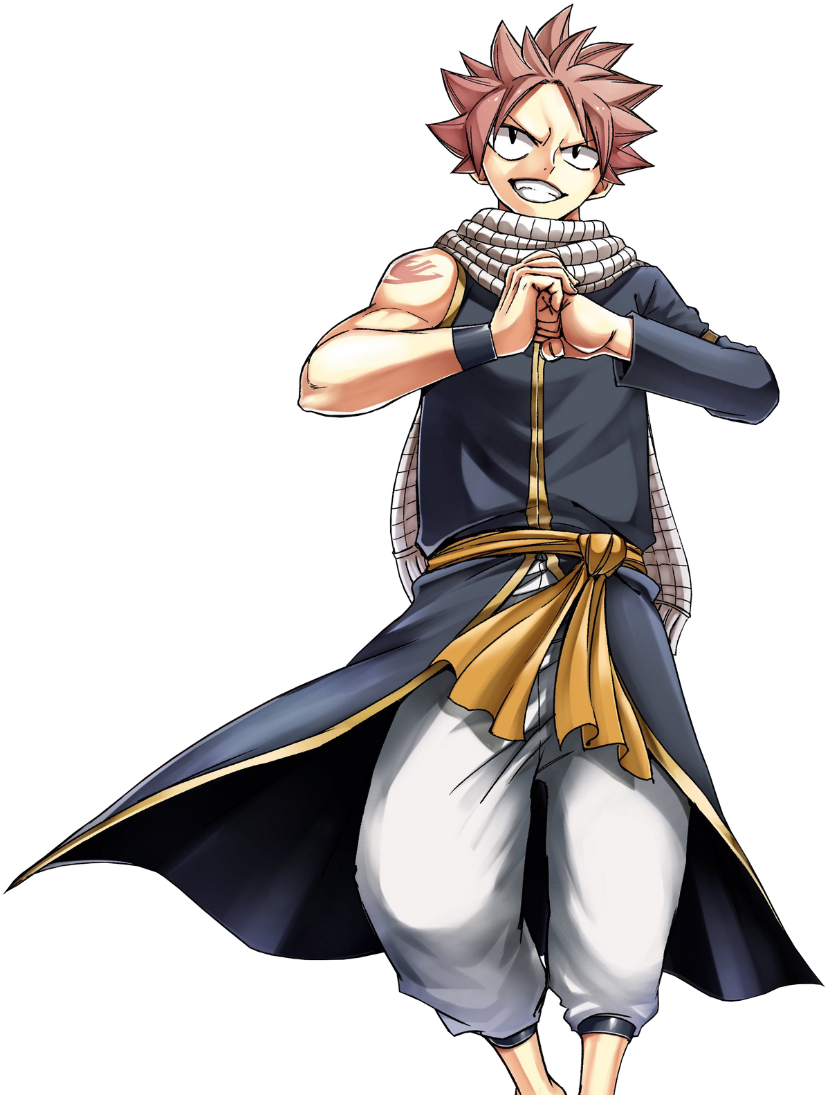 Natsu Dragneel, Wiki