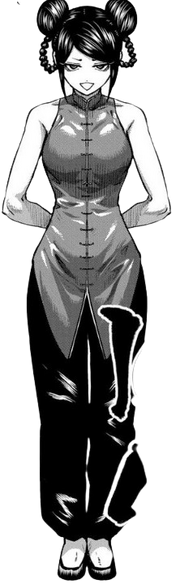 User blog:XxZetsuxX/Hongou Hina | VS Battles Wiki | Fandom