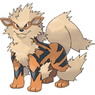 Arcanine, the Legendary Pokémon.