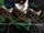 Darklords1189/speed o sound sonic recalc