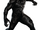 Black Panther (Marvel Cinematic Universe)