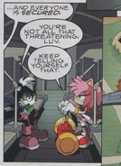 Amy Rose, Sonic Battle Wiki