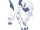 Absol