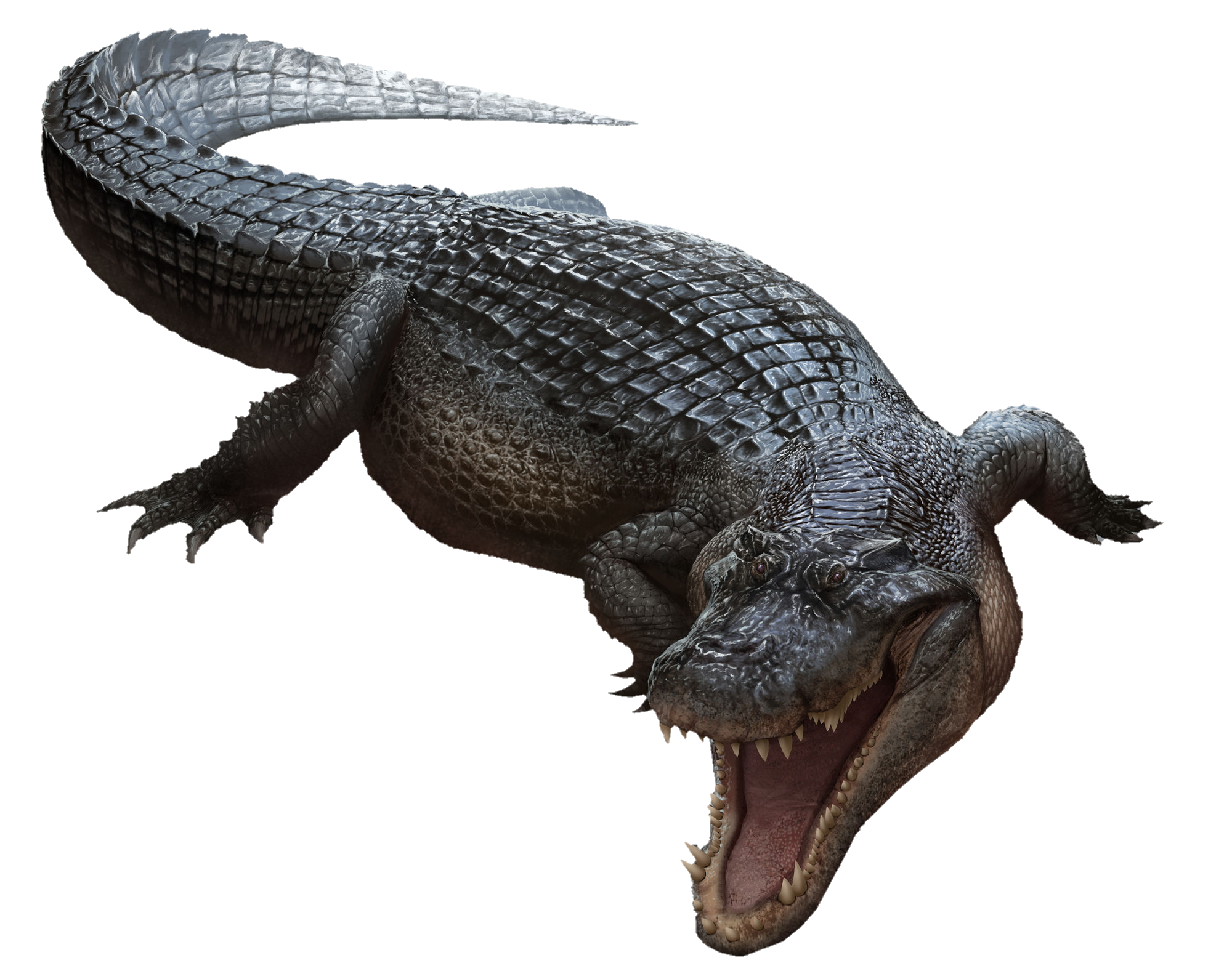 File:Deinocheirus UDL.png - Wikipedia