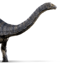 Apatosaurus