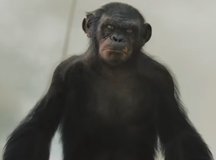 Dawn of the Planet of the Apes - Koba Playing Stupid Ape - YouTube