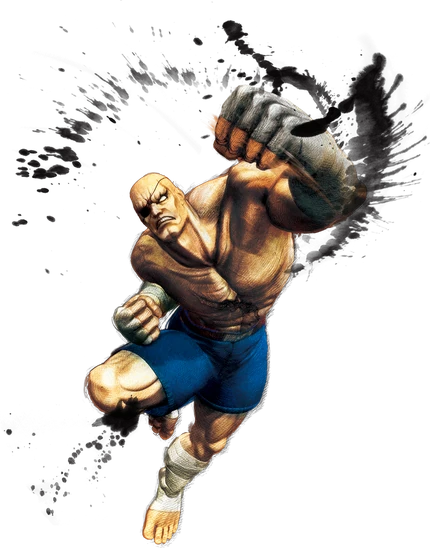 Sagat