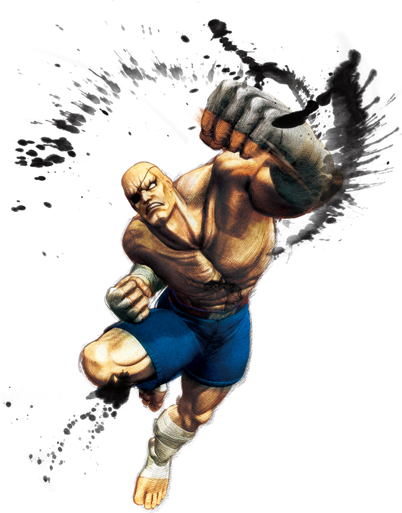 street fighter characters sagat