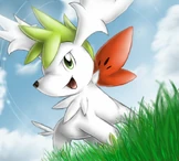 Shaymin