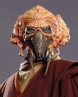 Plo Koon