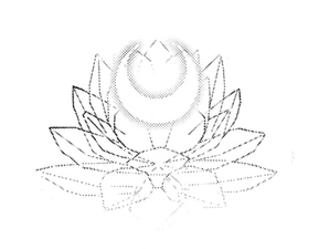 Silver Crystal ｢幻まぼろしの銀水晶ぎんずいしょう｣