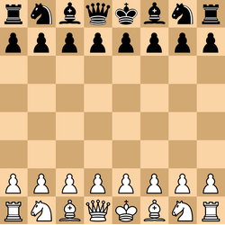 Playing chess where pieces time travel is confusing – in a good