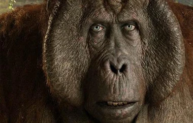 King Louie (2016) | VS Battles Wiki | Fandom