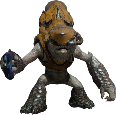 Unggoy - Species - Halopedia, the Halo wiki