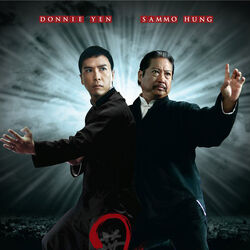 Ip man 2 in hindi hot sale