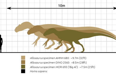 Deinosuchus, VS Battles Wiki