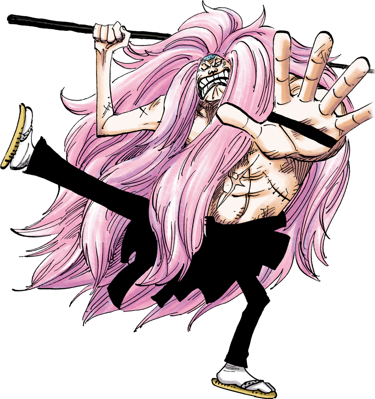 Rankyaku, One Piece Role-Play Wiki