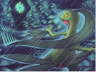 Grovyle (PMD)