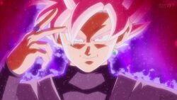 Goku Black™, Wiki