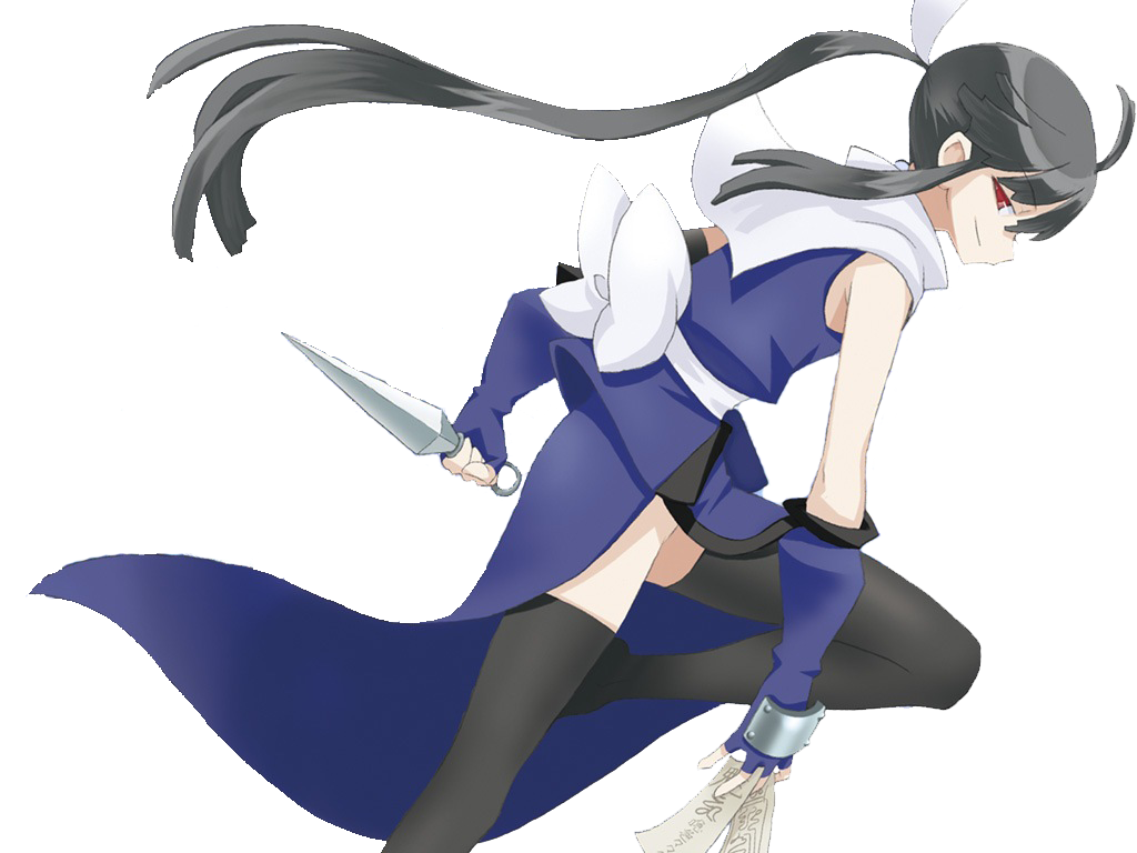 Izuna: The Unemployed Ninja: Izuna: Shino 2 - Minitokyo