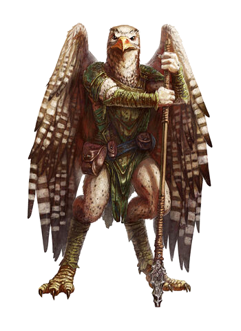 Aarakocra Vs Battles Wiki Fandom