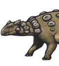 Ankylosaurus