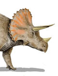 Triceratops