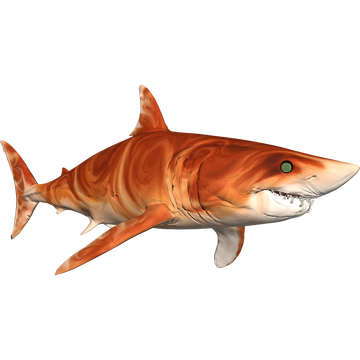 depth divers vs sharks free depth divers vs sharks free