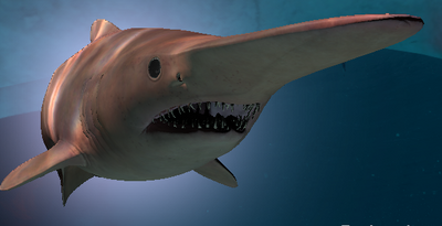 Shark Survival, Typical Games Wiki