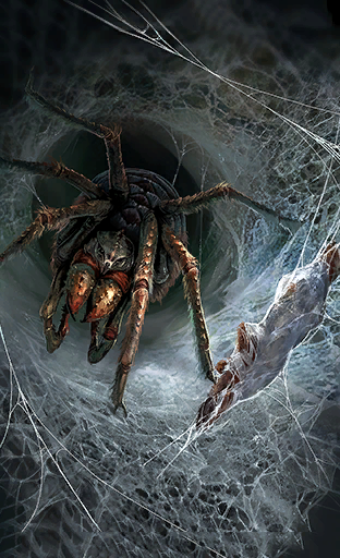 Hunt Giant Spider – Spider Caves – Knight 85+ – MMORPG Guias