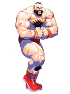 Super Street Fighter II: The New Challengers