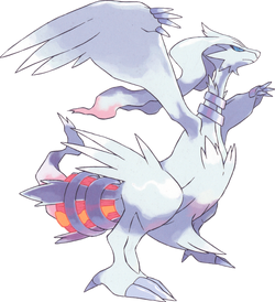 Vaur's Shiny Reshiram, Our Epic Pokemon Battles Wikia