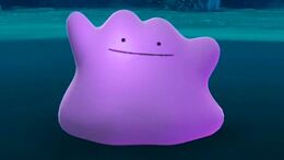 Ditto