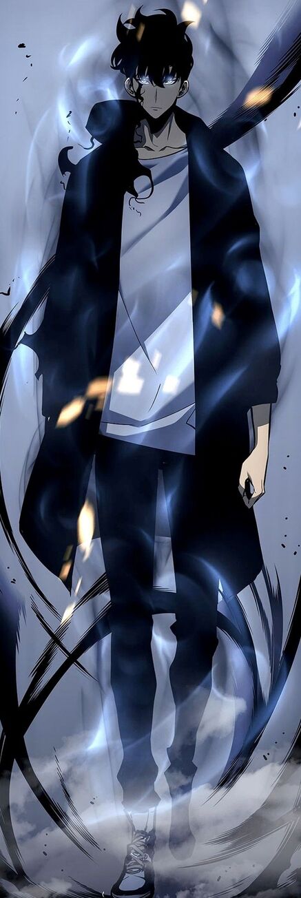 User blog:XxZetsuxX/Sung Jin Woo | VS Battles Wiki | Fandom