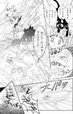 Moon Frisbee/Moon Tiara Boomerang